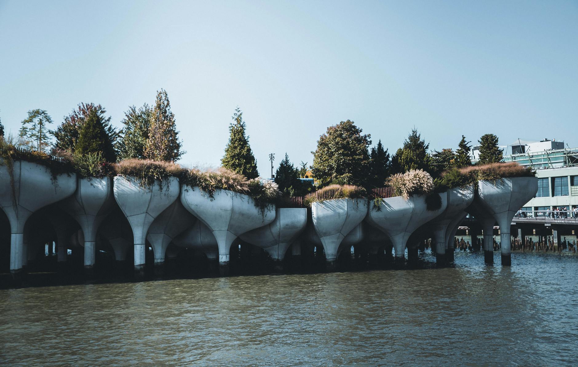 Illustration zu Hull – Chelsea