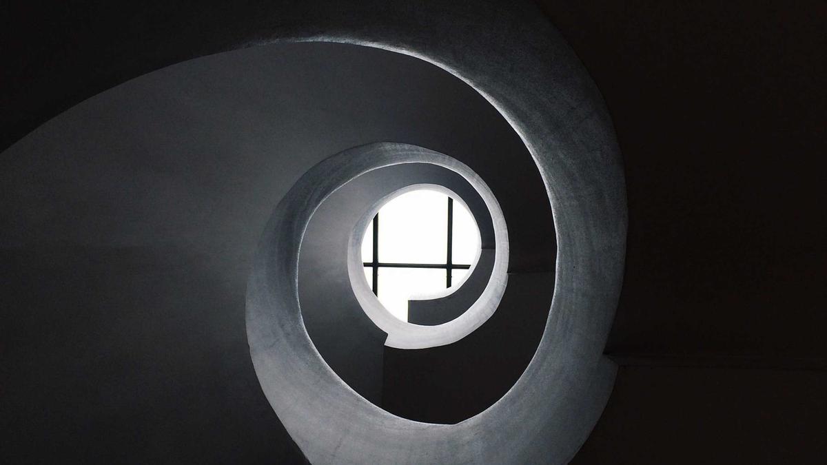 Symbolbild zum Thema Hund Filmt Grönland