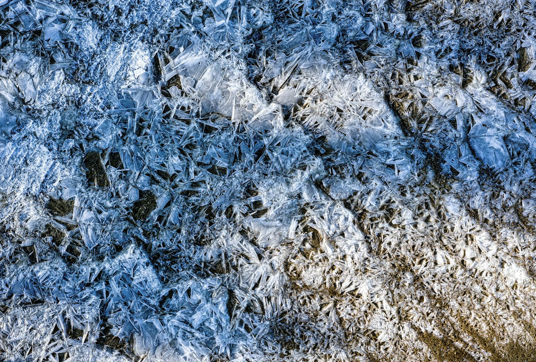 Detailansicht: ICE Einsatz Minnesota