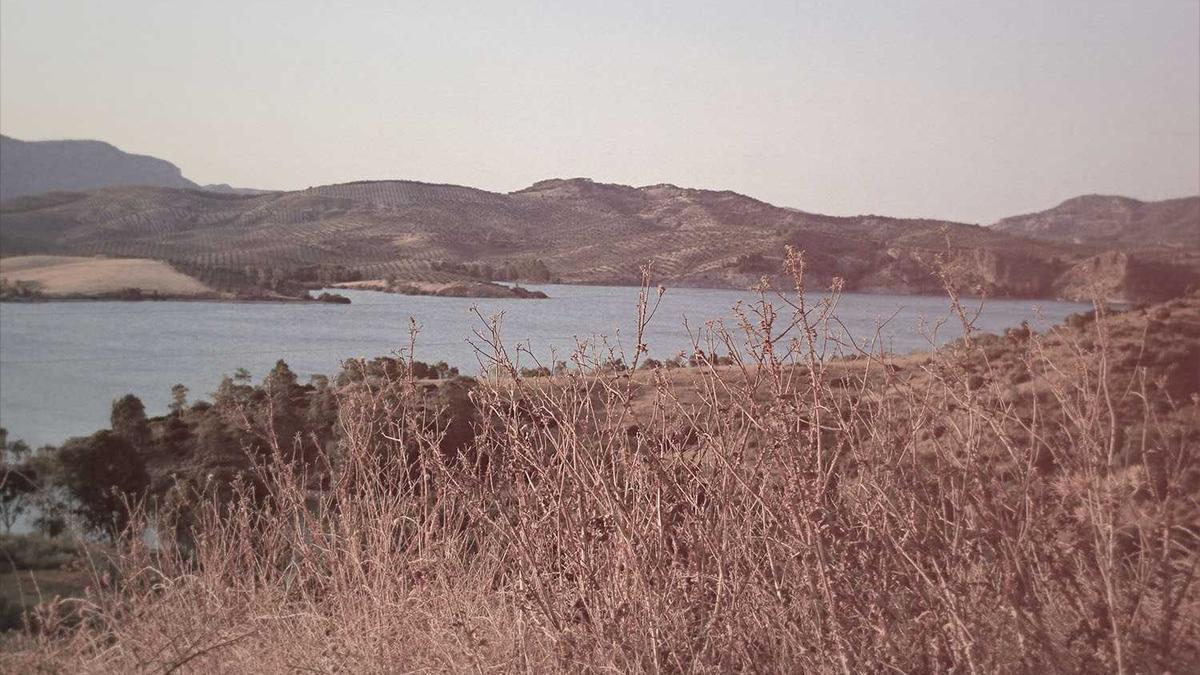 Symbolbild zum Thema Iran Proteste