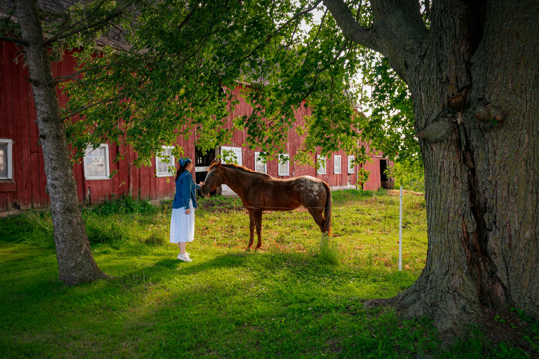 Illustration zu Jane Seymour Geburtstag
