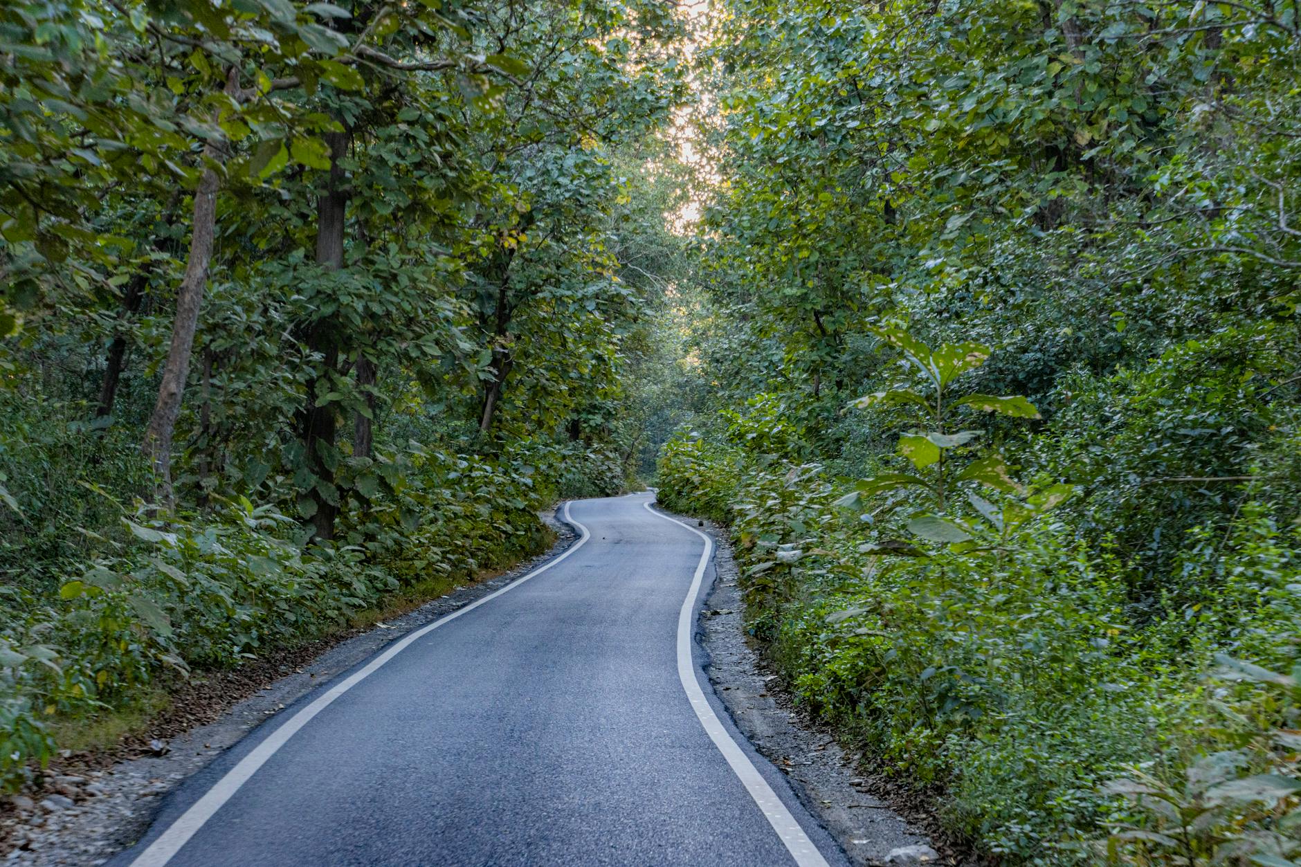 Illustration zu Jim Curtis Jennifer Aniston