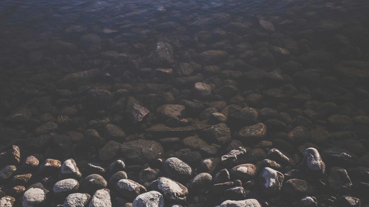 Detailansicht: Karner Pirc Musar Treffen