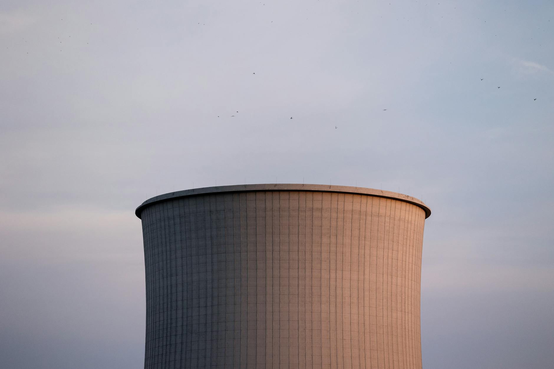 Illustration zu Karoline Herfurth Blaue Blume