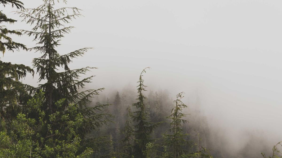 Illustration zu Karyna Shuliak