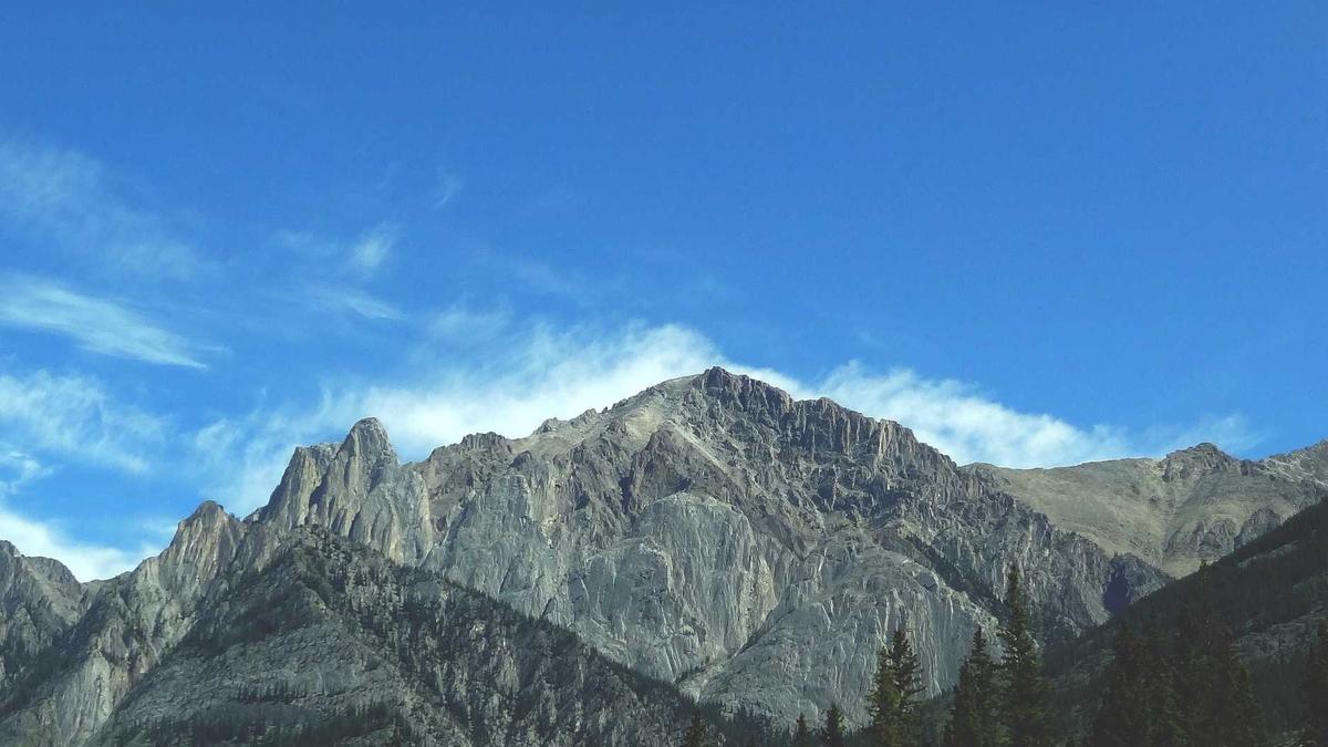 Detailansicht: Kevin Costner Fitness