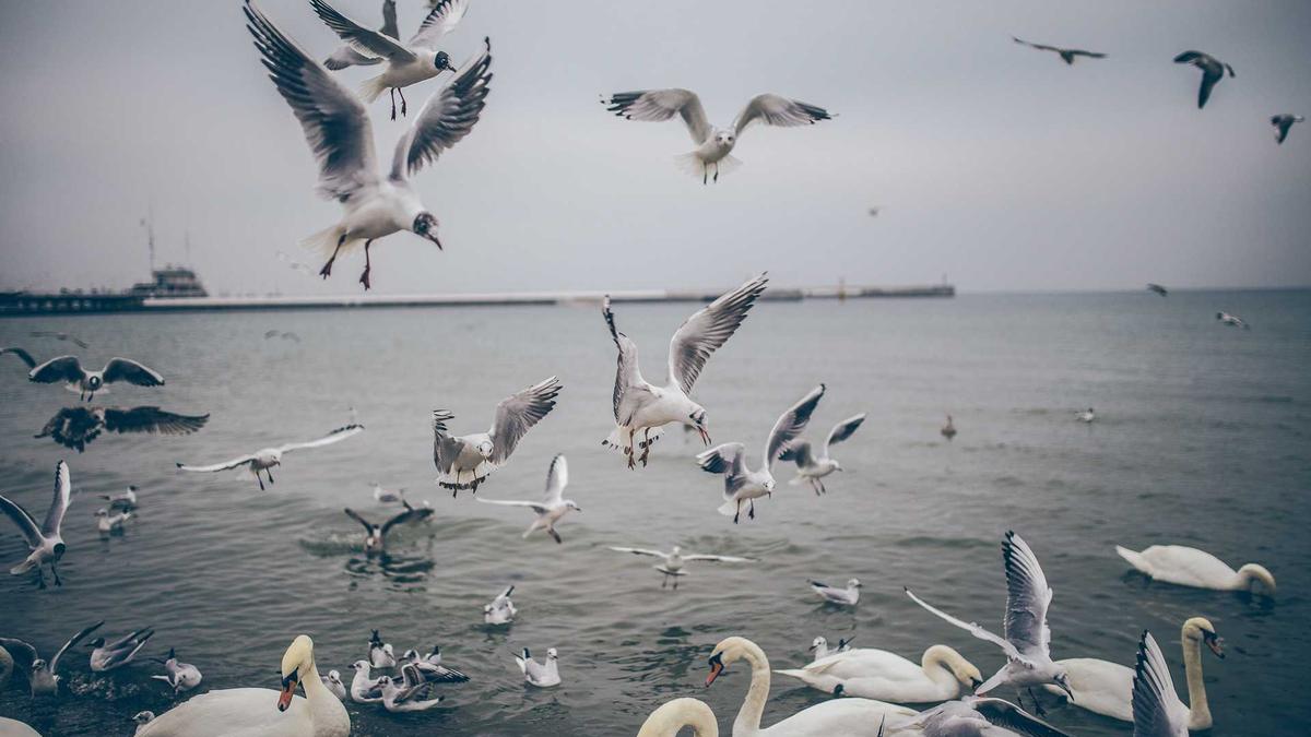 Illustration zu KI Im Sportunterricht