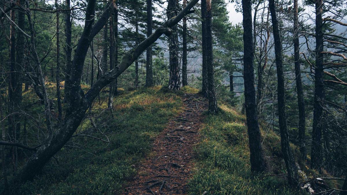 Illustration zu KI Schule Kritik