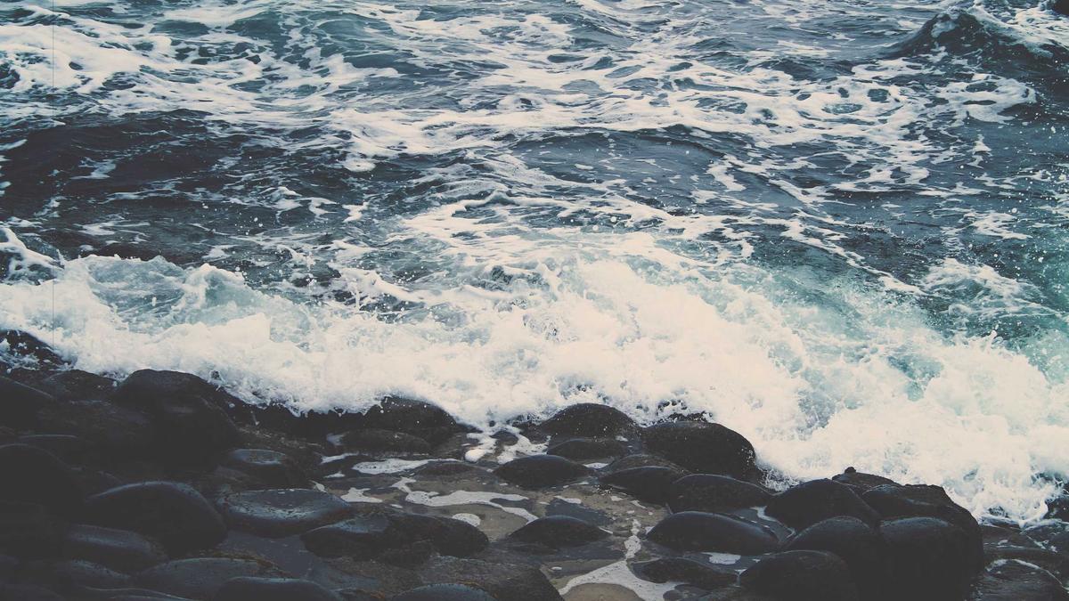 Detailansicht: Kim Yo Jong