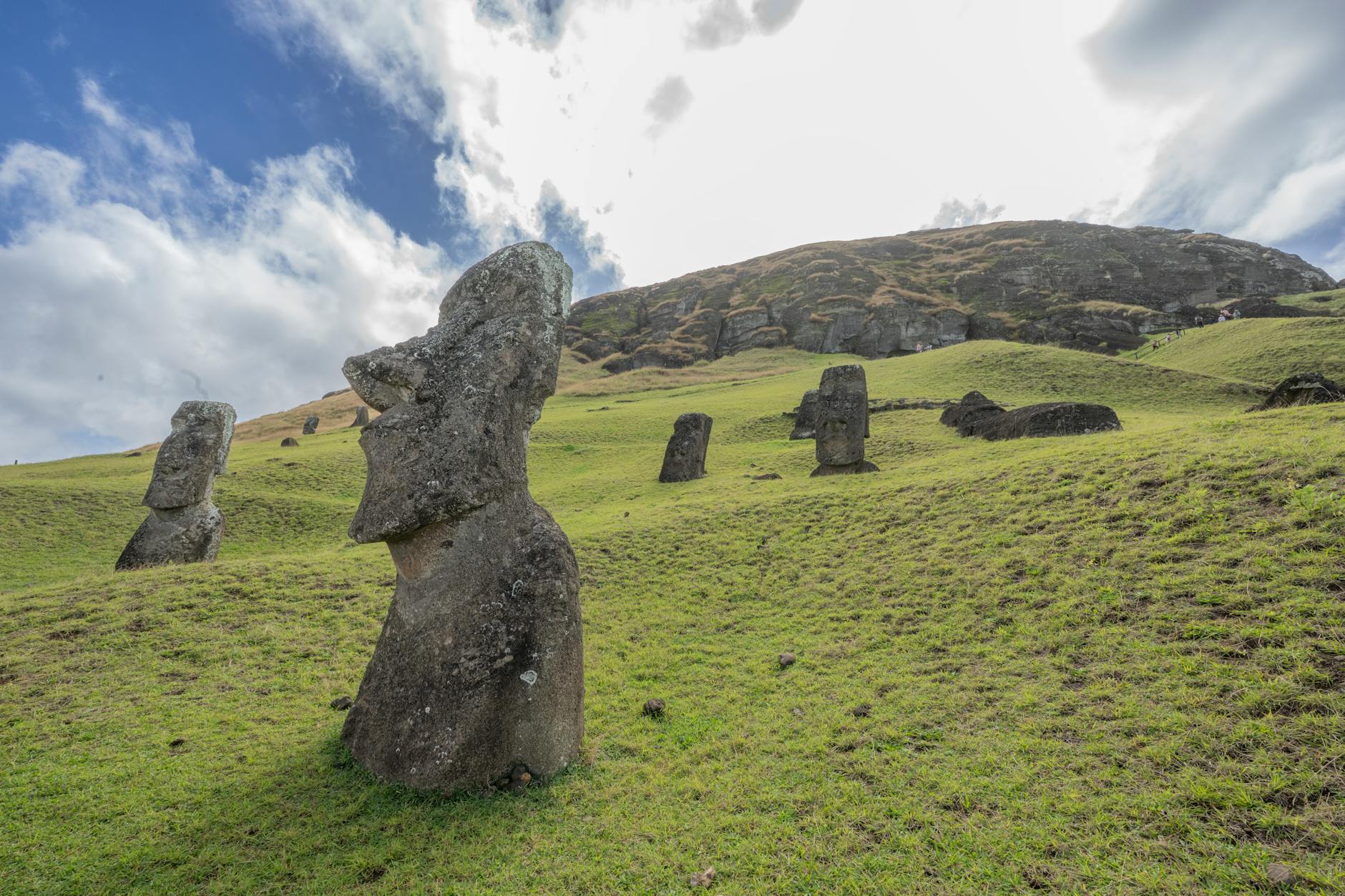 Detailansicht: Kjeld Nuis