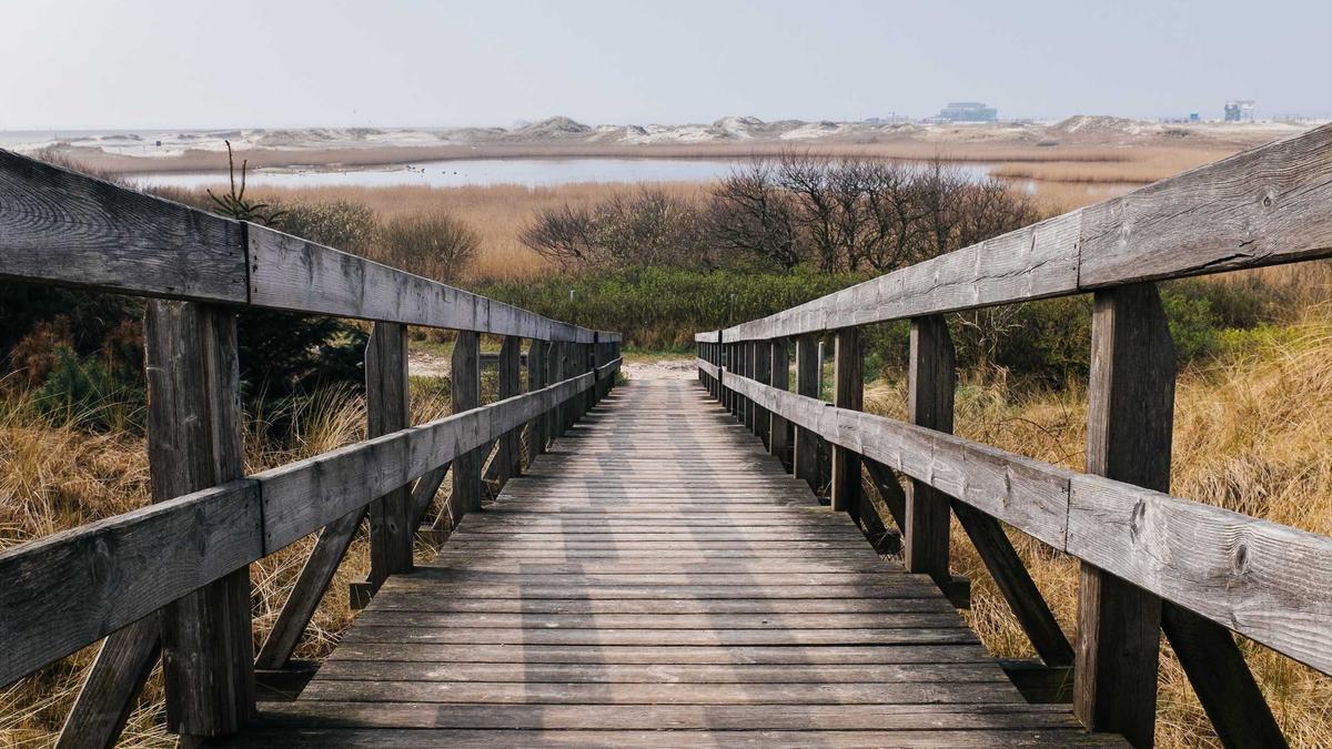 Symbolbild zum Thema Kleinster Herzschrittmacher