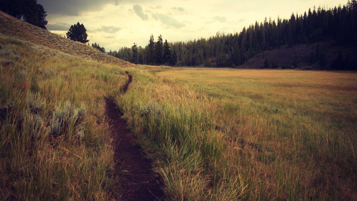 Illustration zu Krafttraining Männer 50