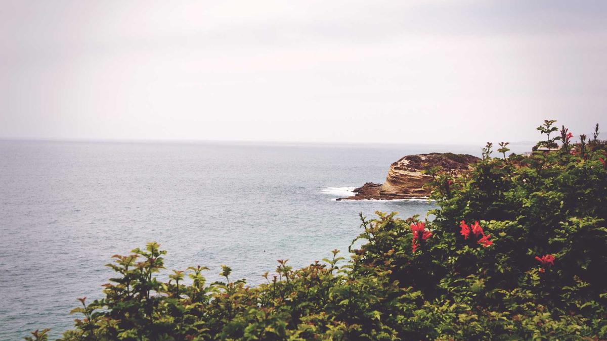 Illustration zu Laura Siegemund