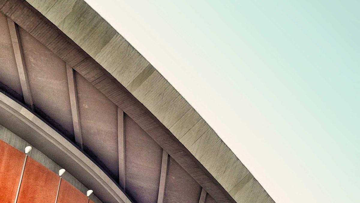 Detailansicht: Lebenserwartung Löwen