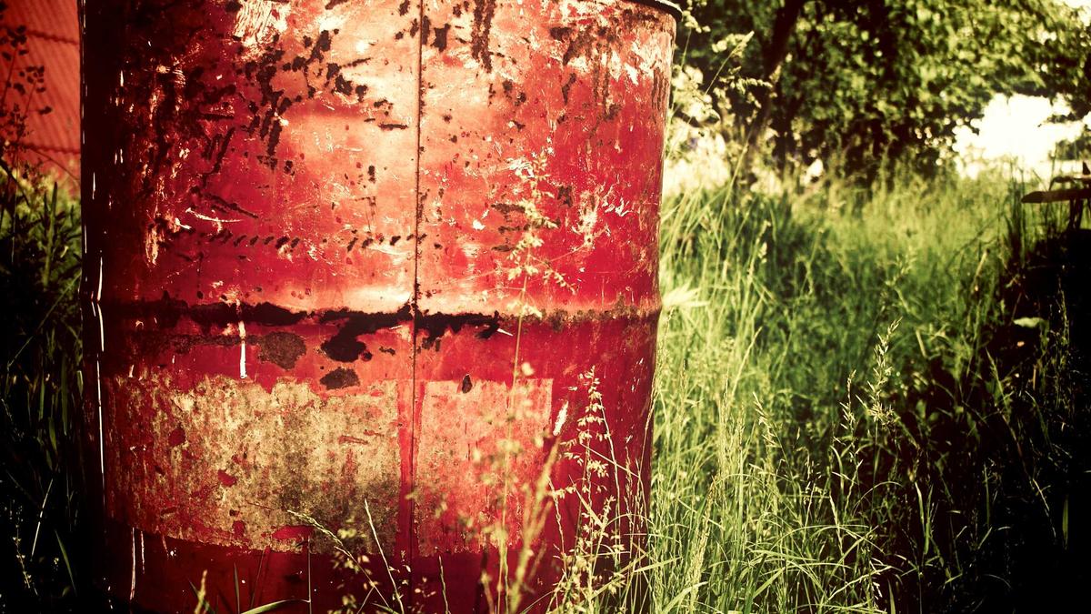 Detailansicht: Leonberg