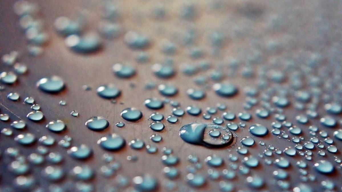 Illustration zu Lets Dance 2024 Kandidaten