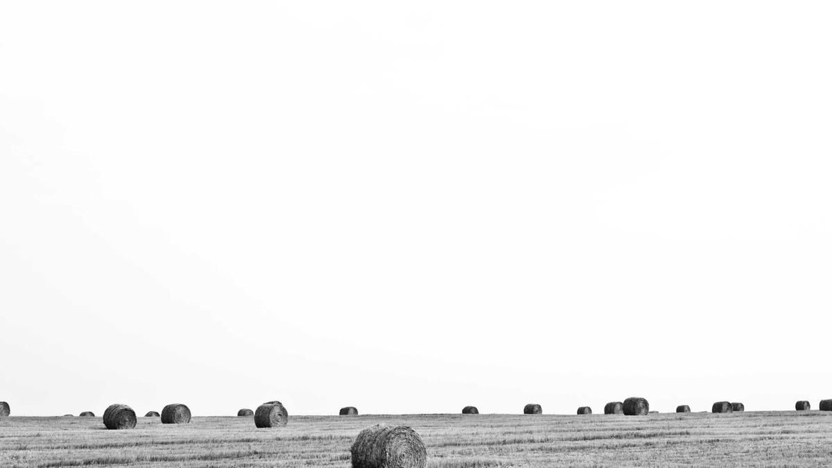 Symbolbild zum Thema Lettland Mailand Cortina 2026