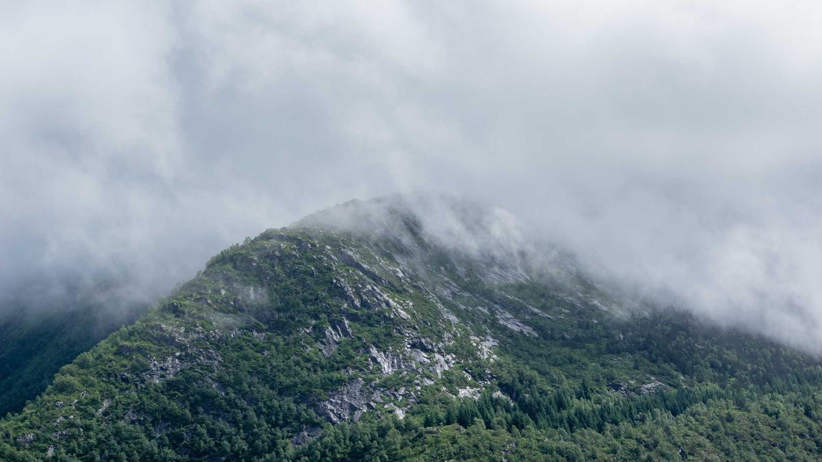 Detailansicht: Lettland Mailand Cortina 2026