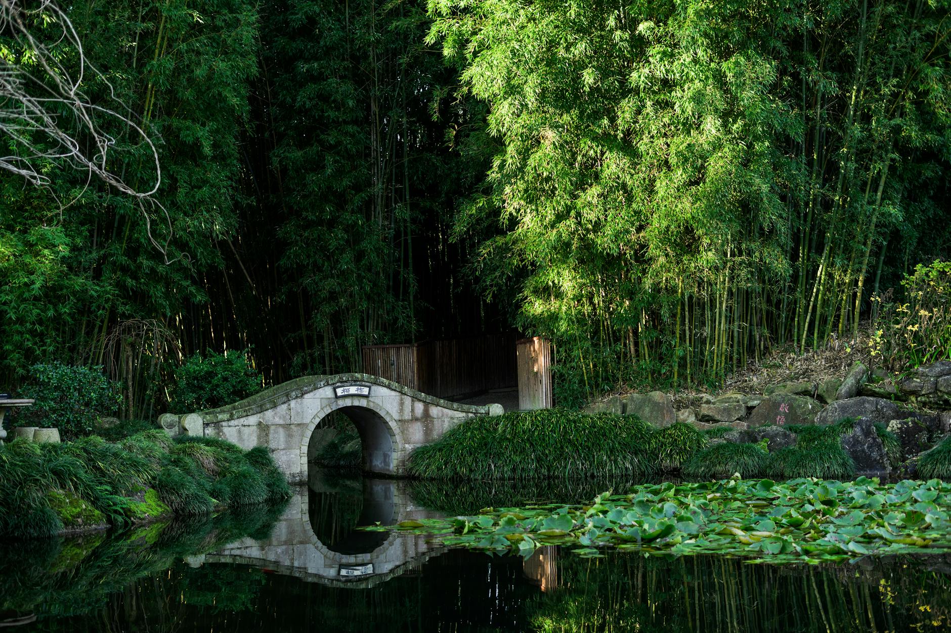 Symbolbild zum Thema Lewis Hamilton