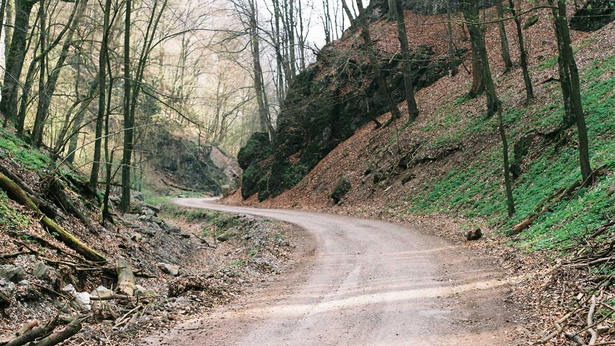 Detailansicht: Loic Meillard