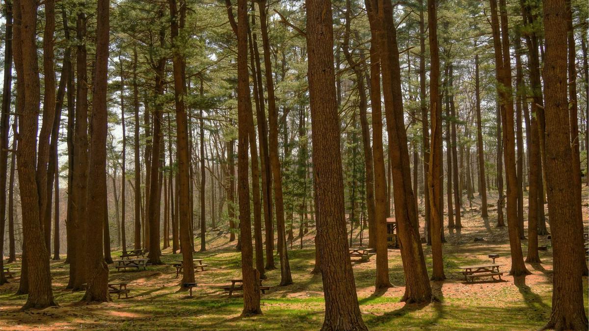 Detailansicht: Markus Lanz Ukraine