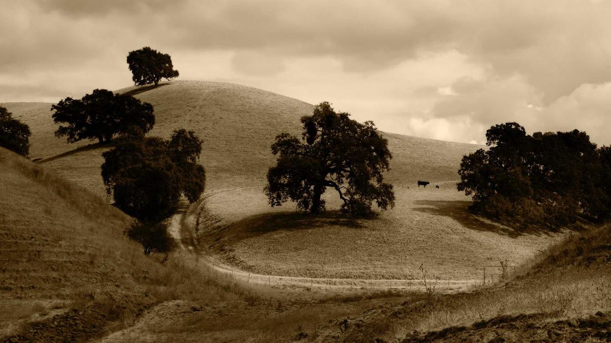 Illustration zu Matthew Mcconaughey Training