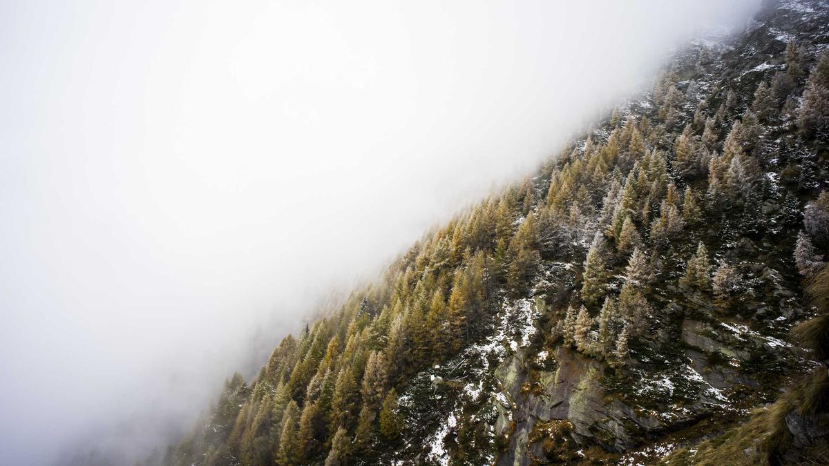 Detailansicht: Matthias Stadler Bürgermeister