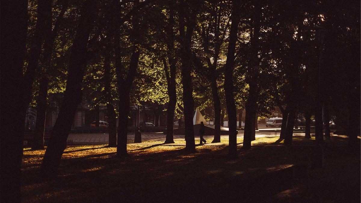 Detailansicht: Merz Reformen