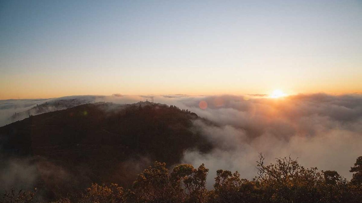 Detailansicht: Migrationswende 2026