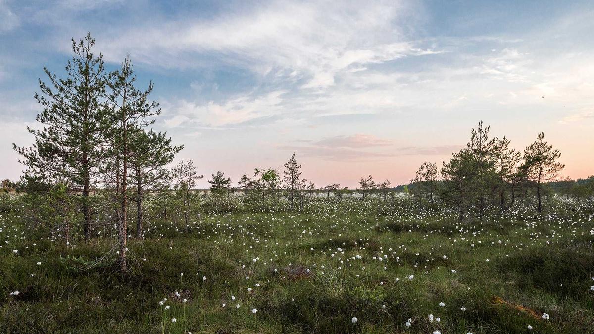 Illustration zu Möbelindustrie Krise