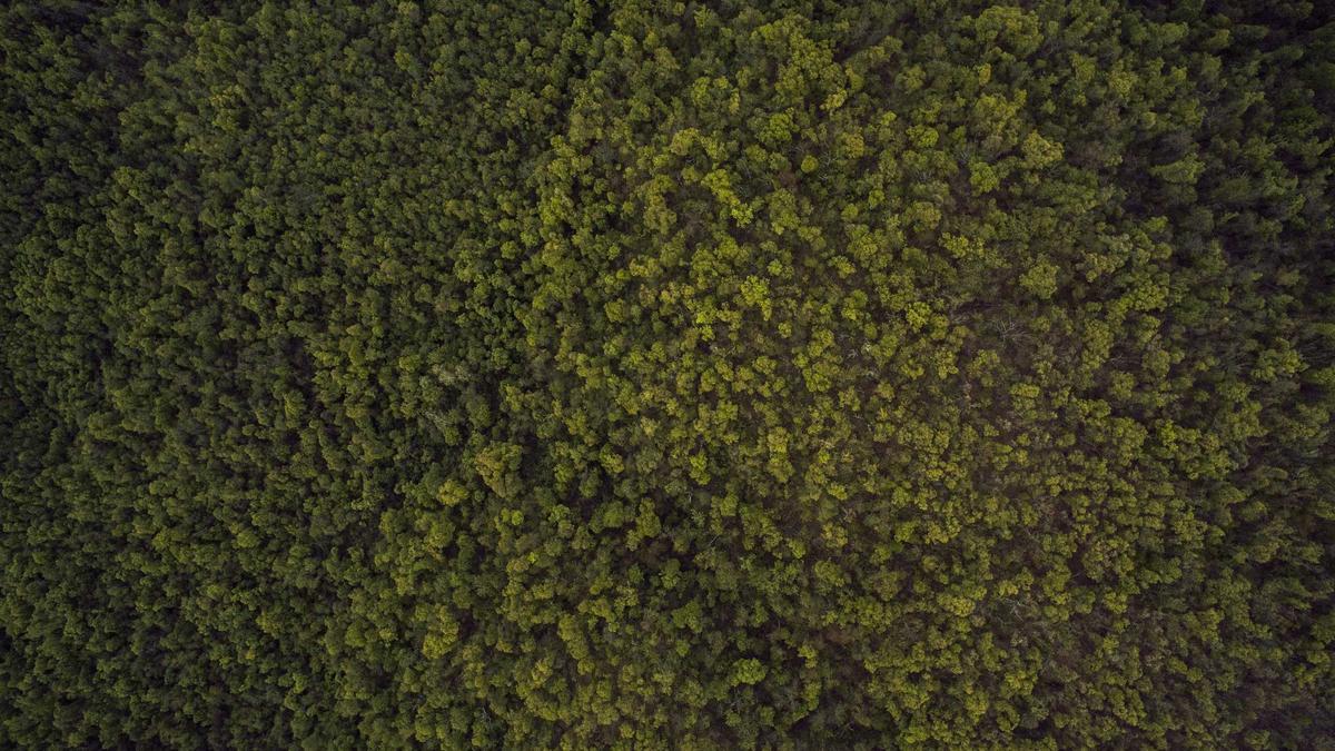 Illustration zu Molcharten Deutschland