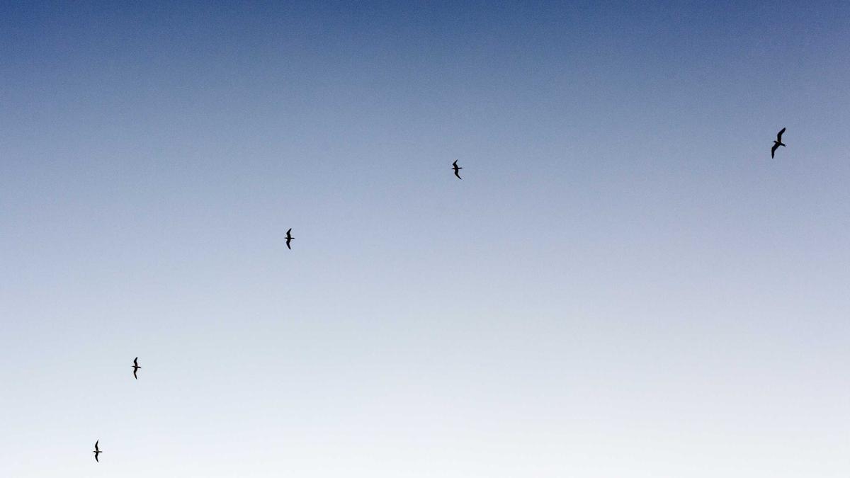 Detailansicht: Natalia Wörner Das Mädchen Ohne Namen