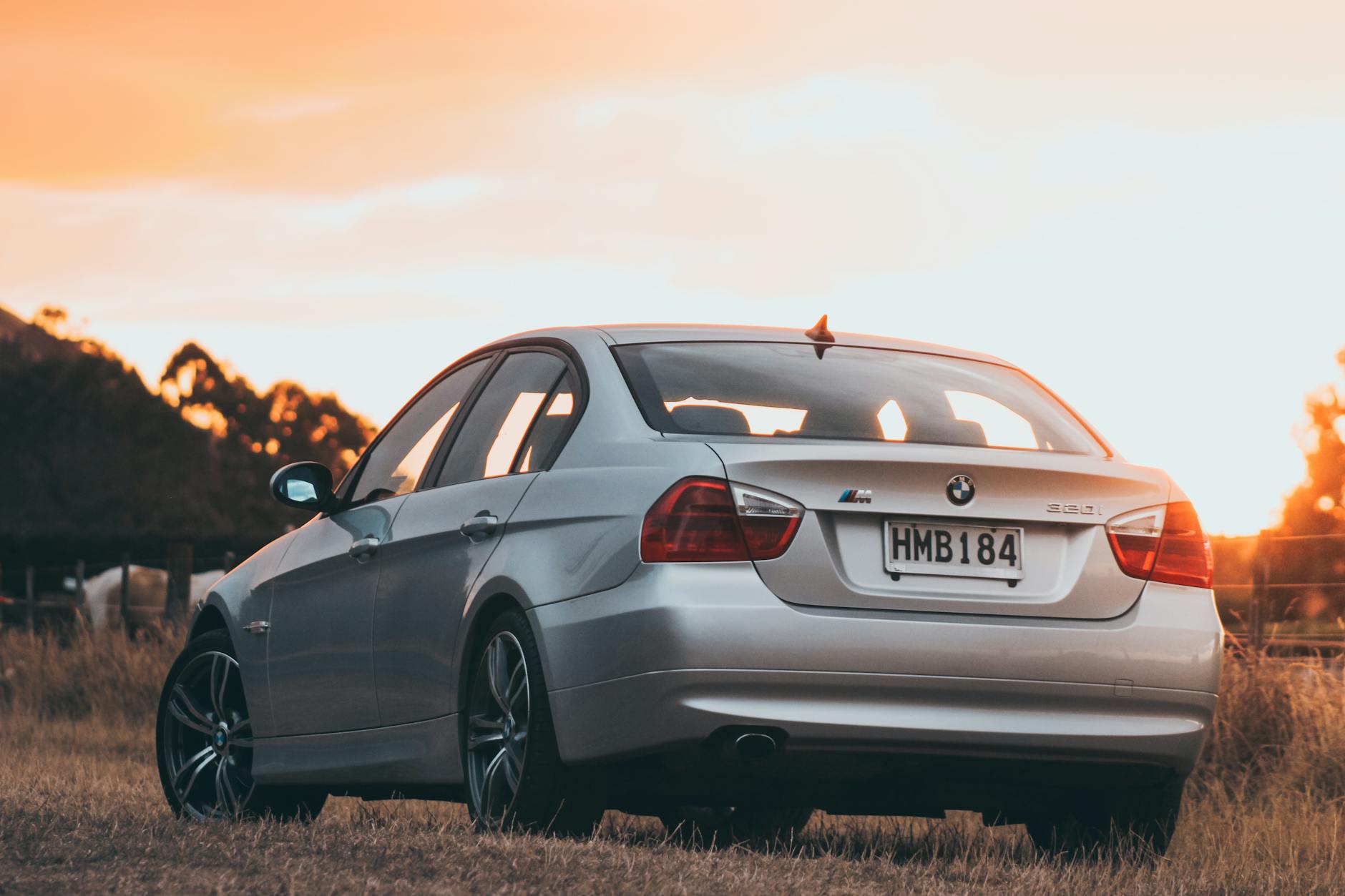 Illustration zu Netflix Belfast Serie