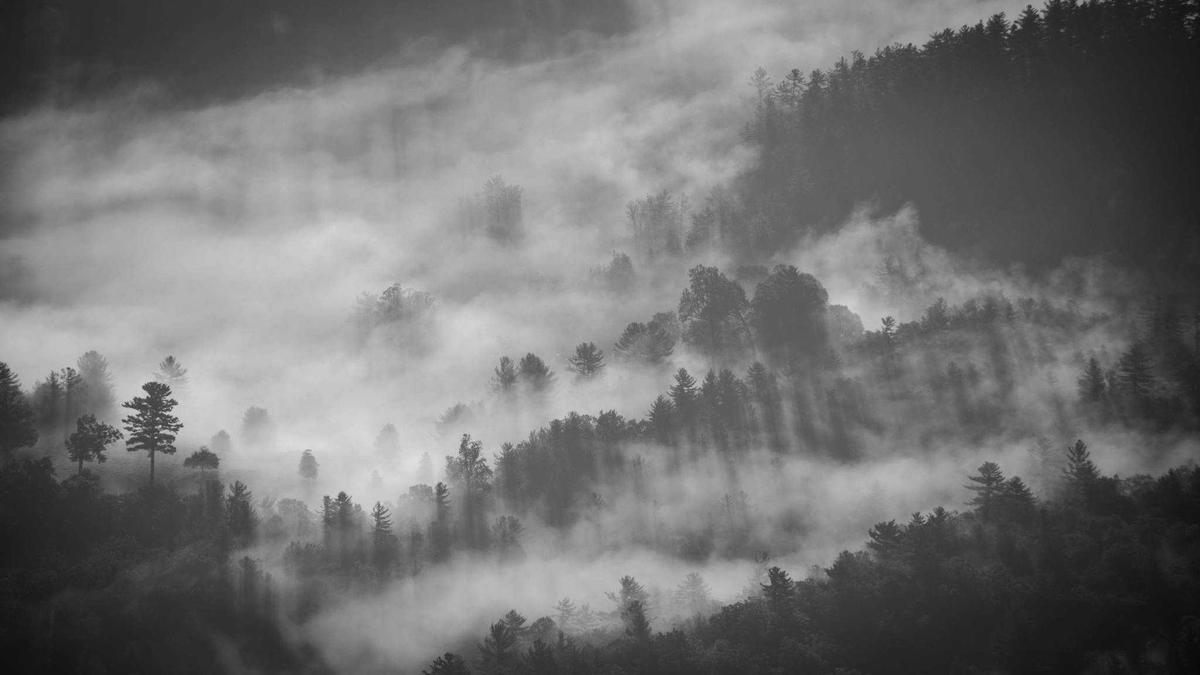 Detailansicht: Norwegen Königspaar Olympia