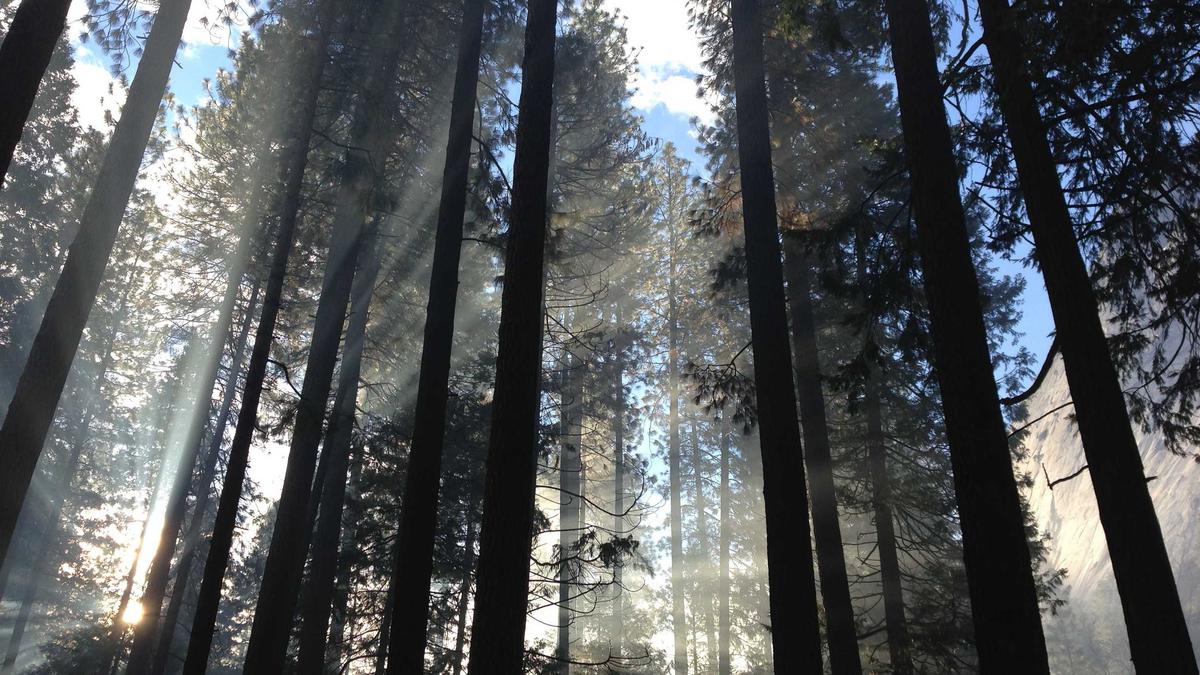 Symbolbild zum Thema NTV