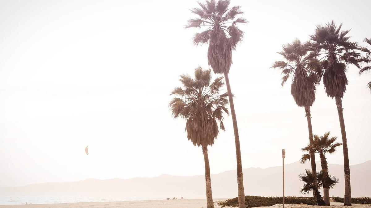 Symbolbild zum Thema öffentlicher Nahverkehr