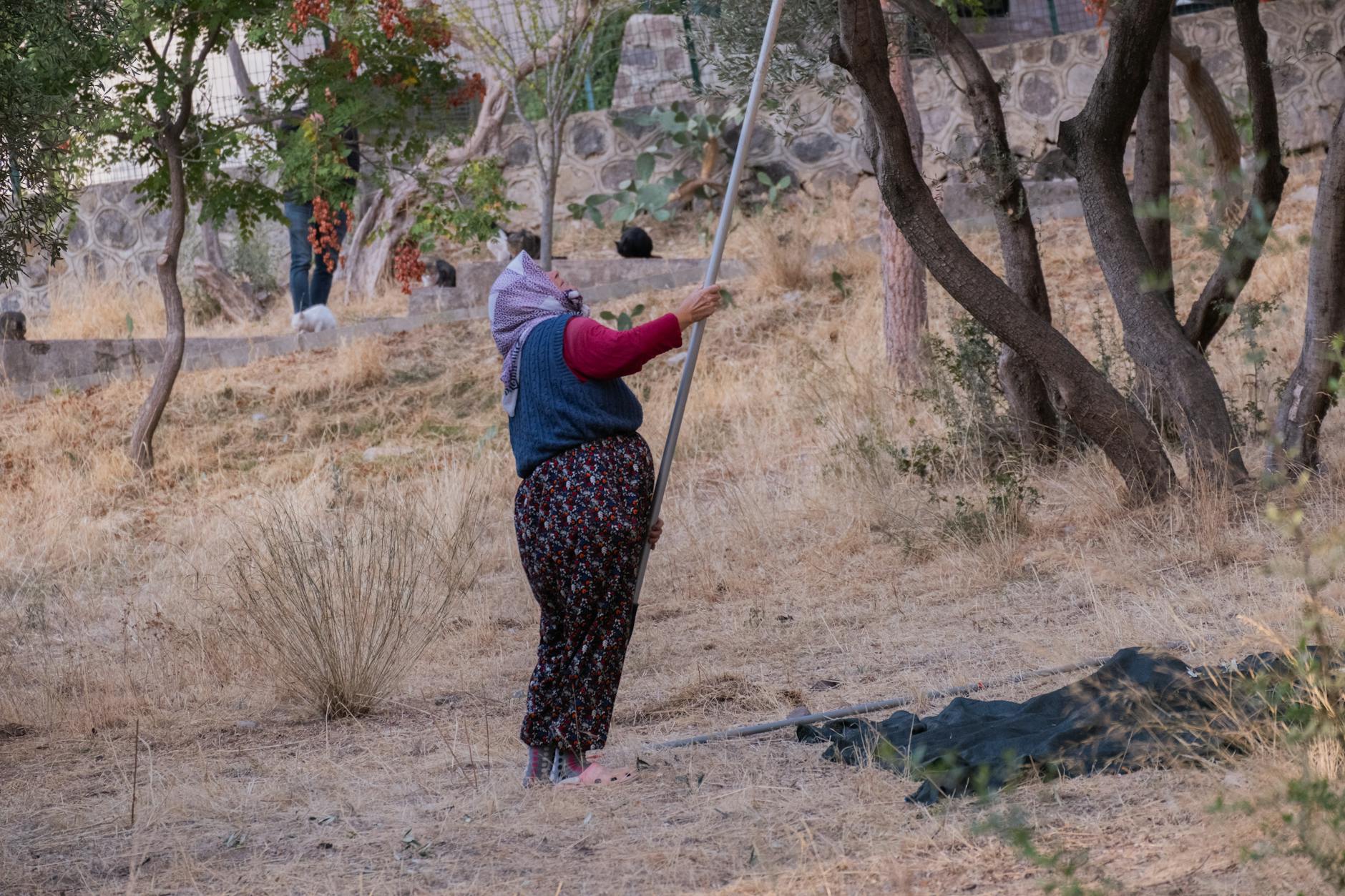 Illustration zu Oliver Mommsen