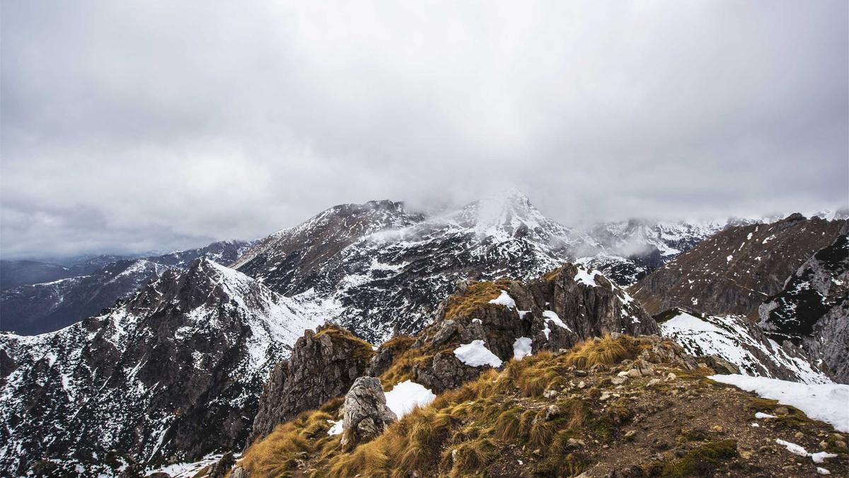 Detailansicht: Ostdeutsche Allgemeine