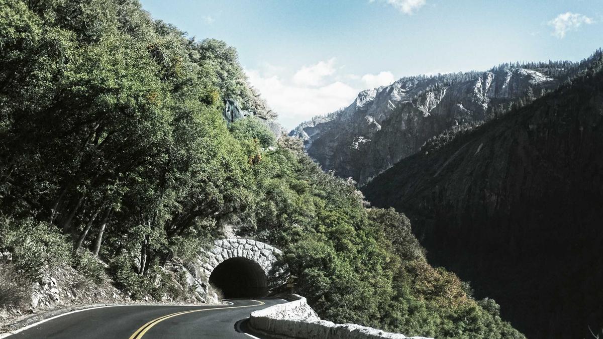 Illustration zu Pikachu Illustrator Karte