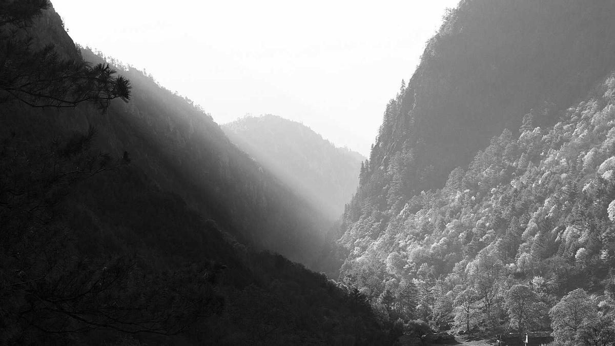 Detailansicht: Pokemon Karten Hype