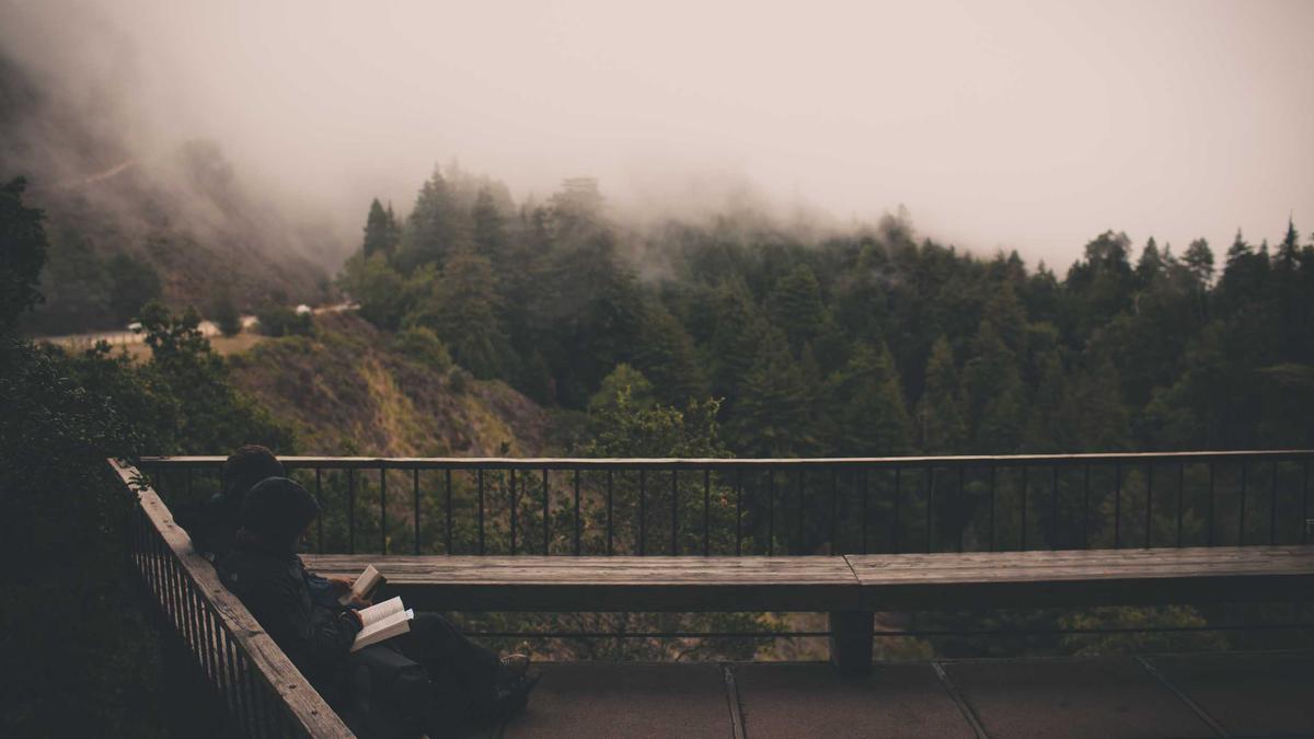 Illustration zu Polarstern Antarktis