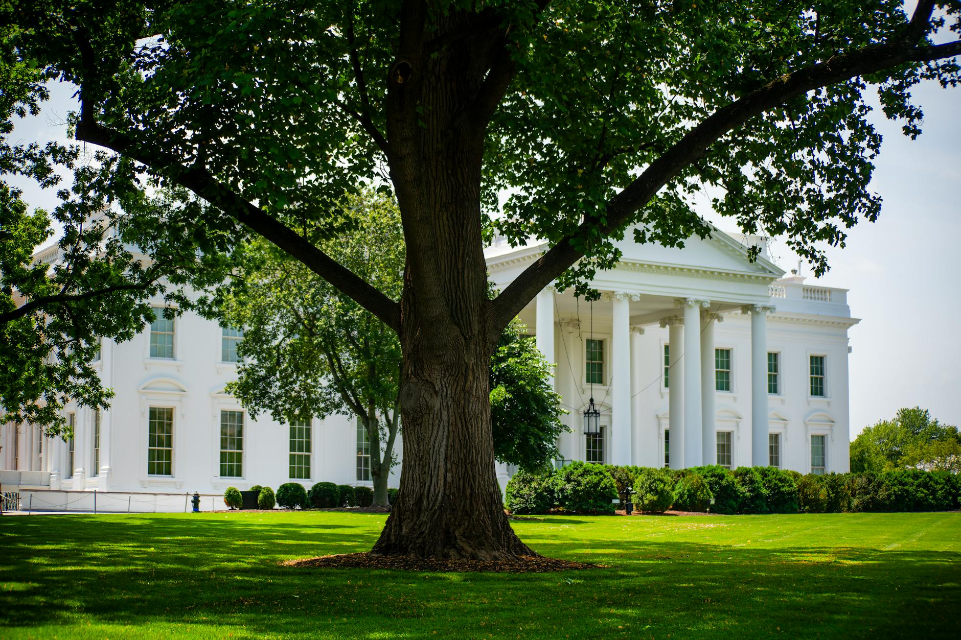 Detailansicht: Politiker Diversion