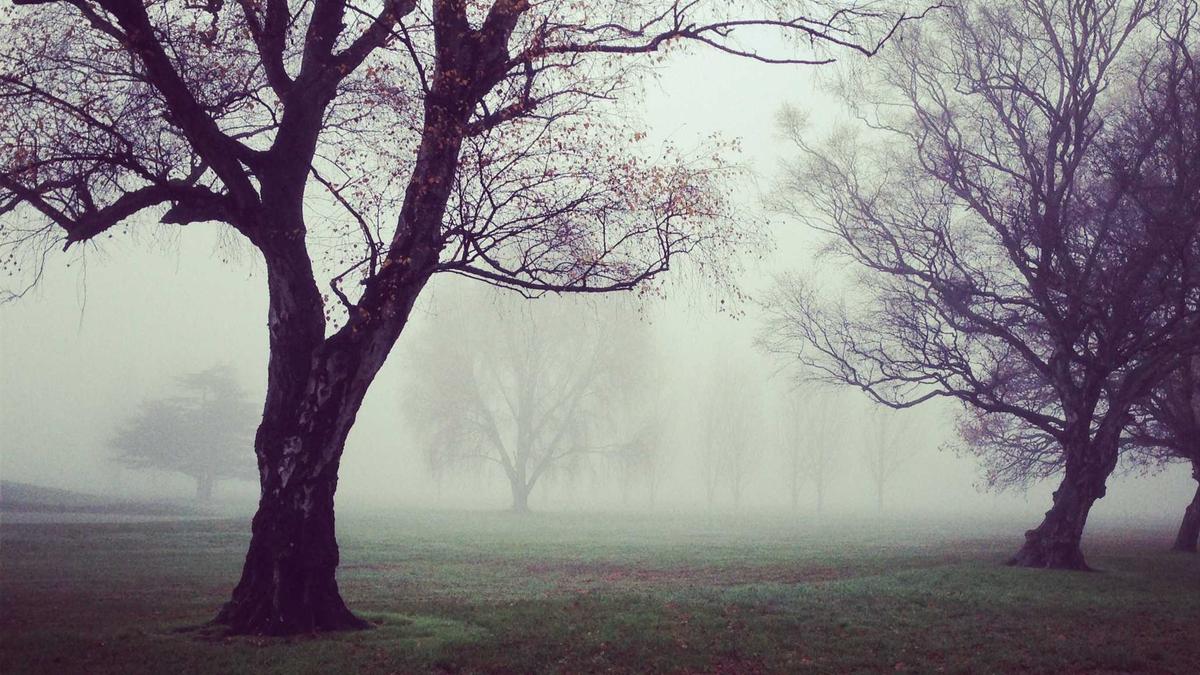 Illustration zu Pornostar Name Geleakt