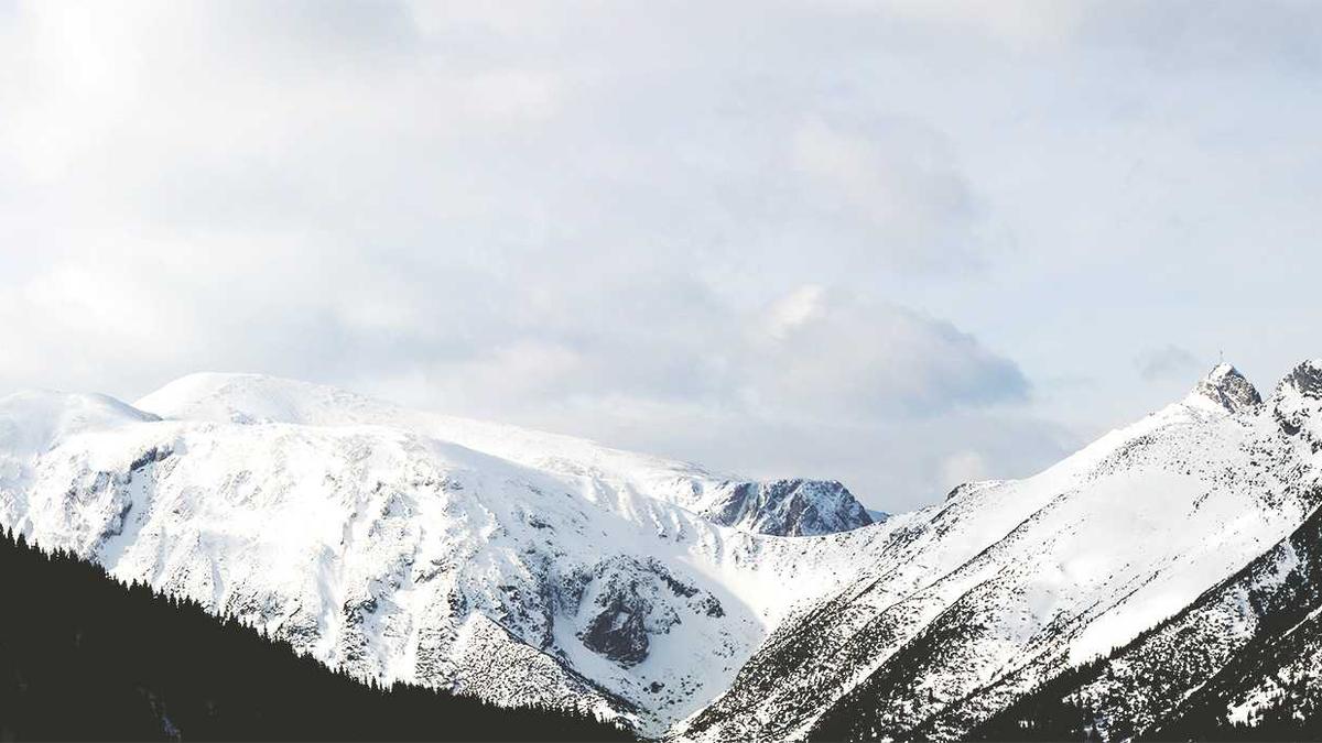 Symbolbild zum Thema Prinz Andrew Festnahme