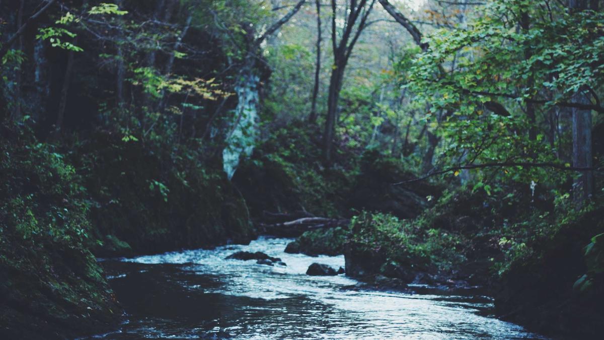 Symbolbild zum Thema Prinzessin Beatrice Auftritt