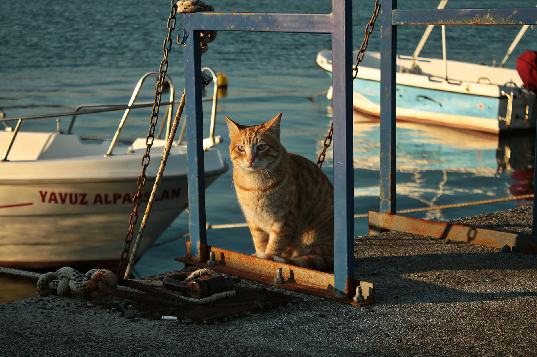 Symbolbild zum Thema Samira Yavuz Serkan Yavuz