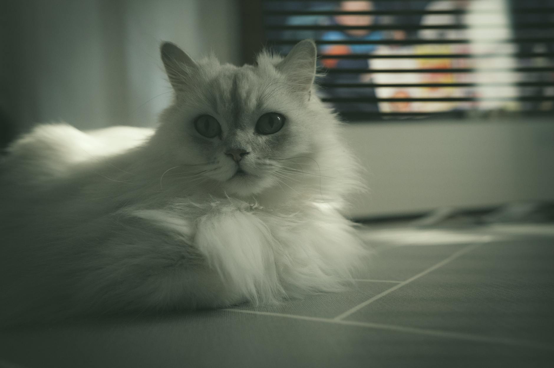 Detailansicht: Sarah Ferguson Epstein