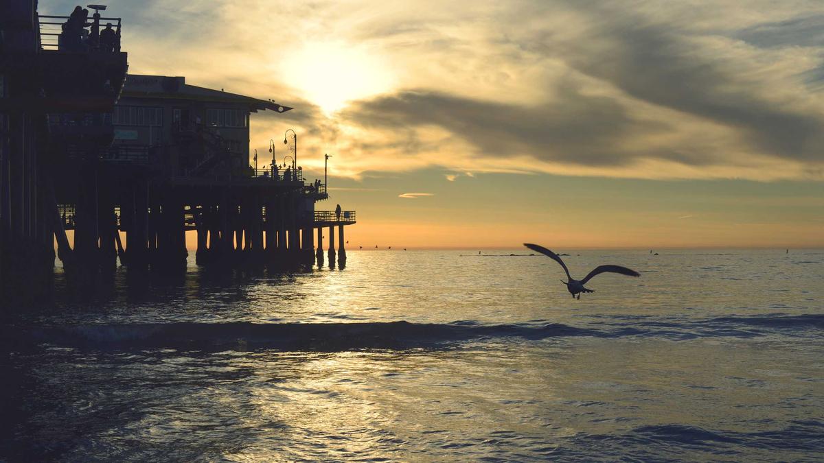 Symbolbild zum Thema Scholz Merz Vergleich