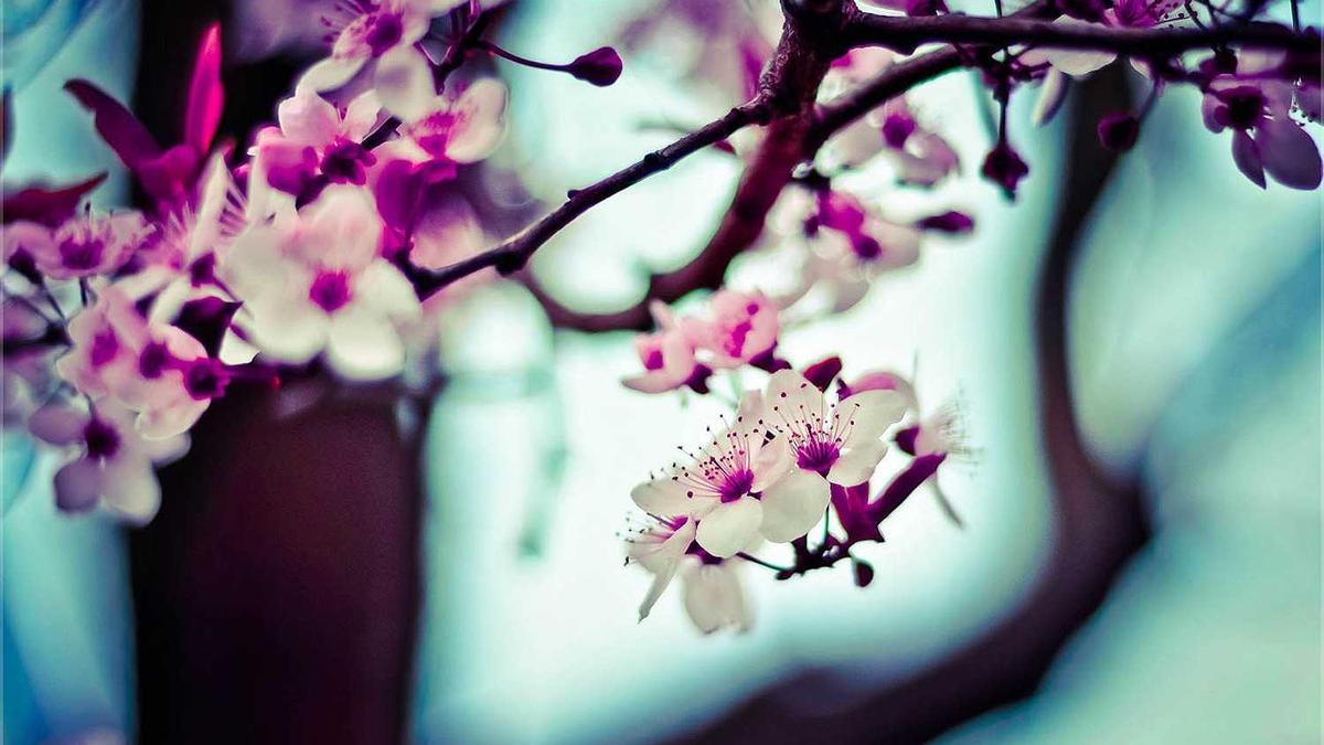 Symbolbild zum Thema Schwefel Molekül Weltall