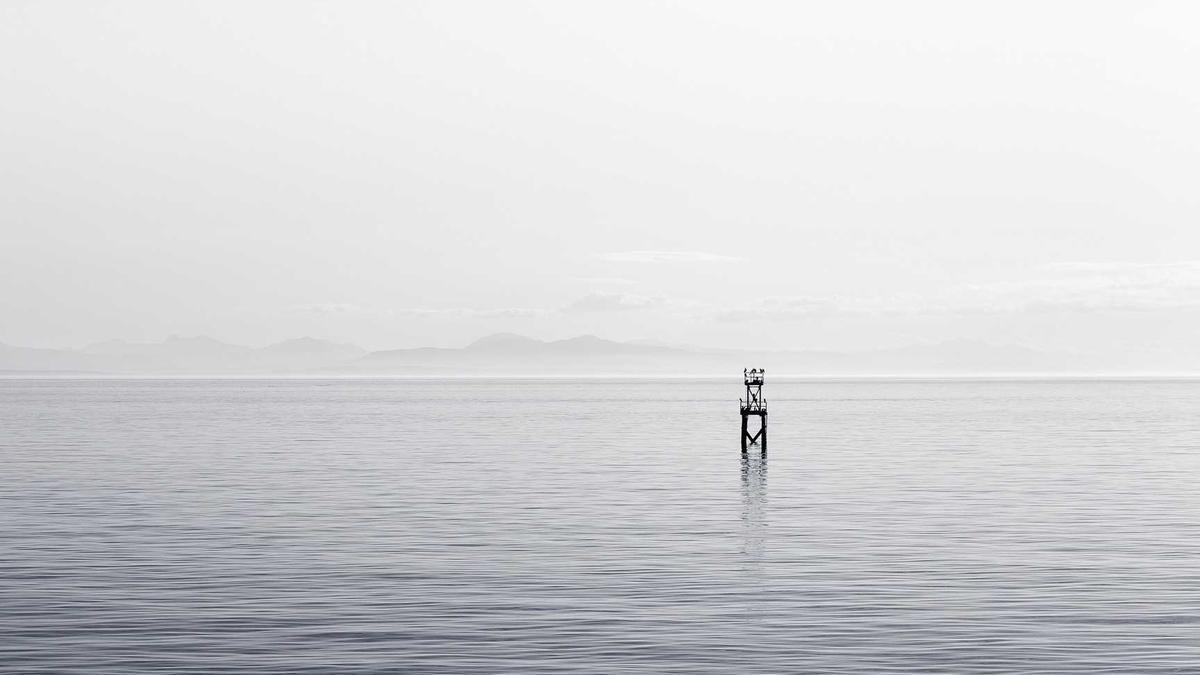 Detailansicht: Shein Fotoklau
